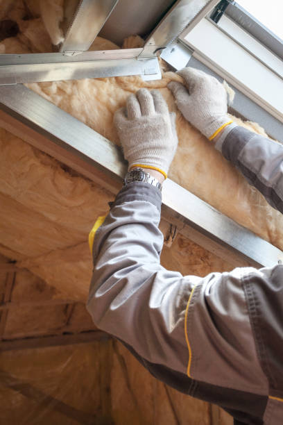 Best Insulation Installation Services in Newaygo, MI